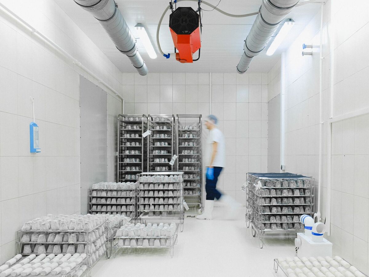 Interior de un cuarto frío con estanterías